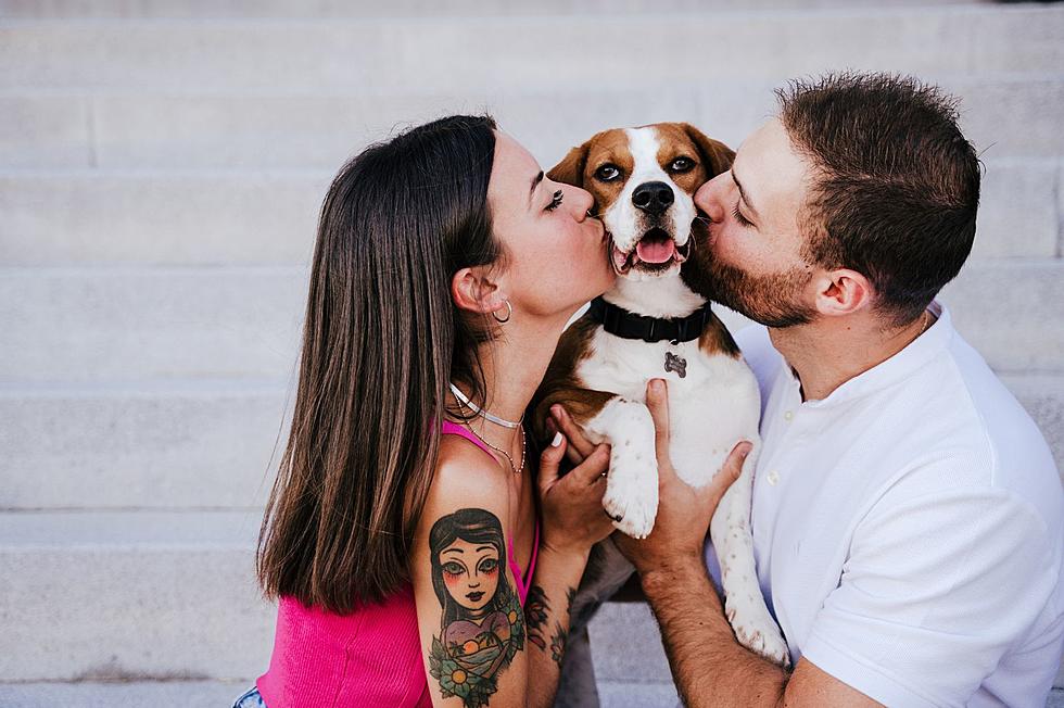 5 Meaningful Ways New Yorkers Can Show Their Dogs Love