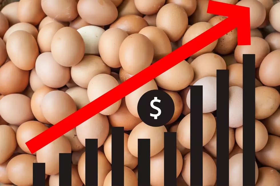 New Yorkers Could See a Significant Price Increase in Eggs