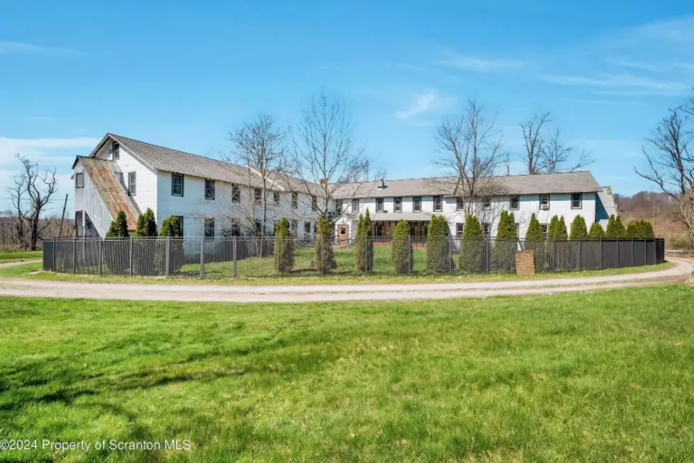 Twin Tiers Estate on 130+ Acres: Endless Possibilities Await!