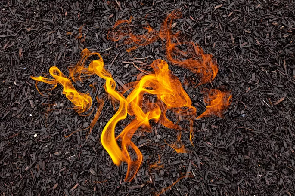 Understanding the Risks of Mulch Catching Fire
