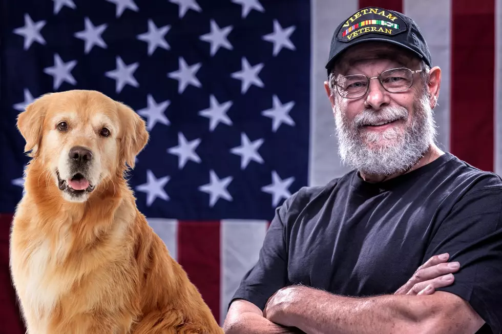 Support Disabled Upstate New York Veterans at Paws and Pints