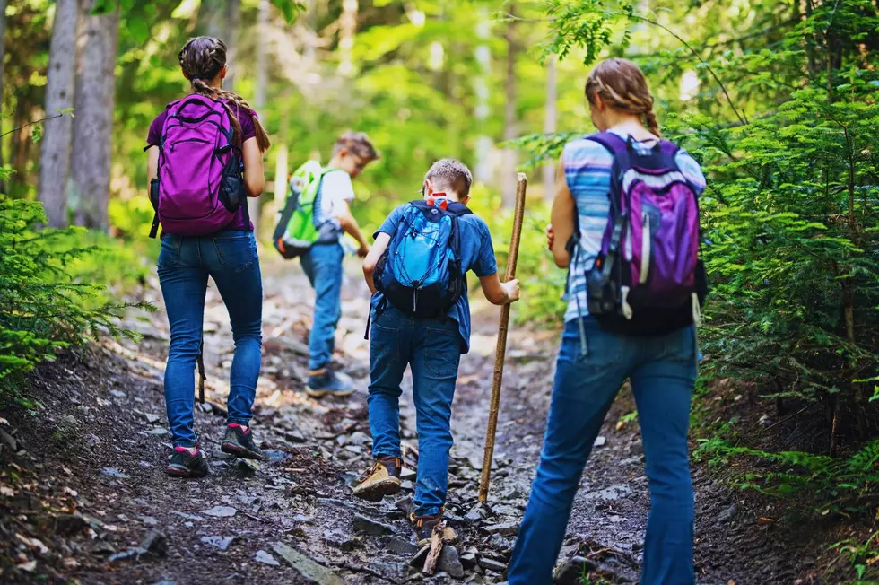 Explore the Beauty of Broome County With ‘Hit the Trail Passport’