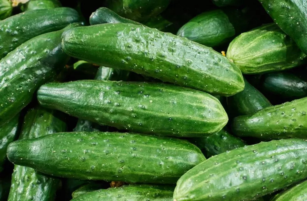 Crunchy Crisis Alert: Salmonella Scare With Cucumbers In New York