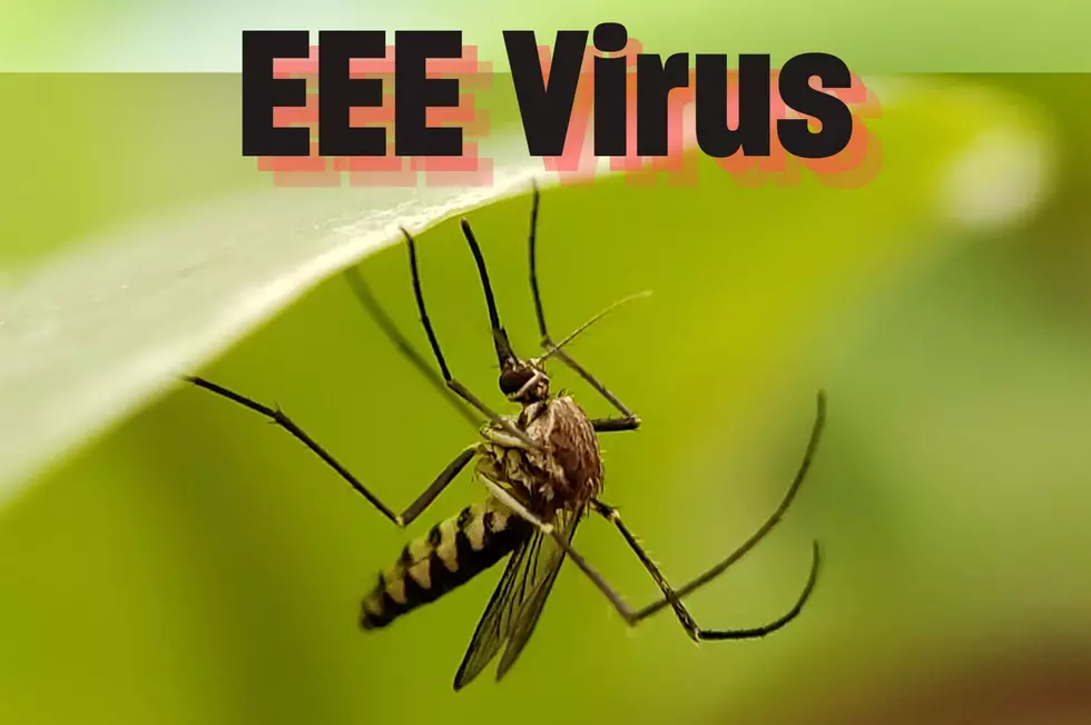 New Yorkers on Edge As Rare and Lethal Mosquito Virus Strikes Close to Home