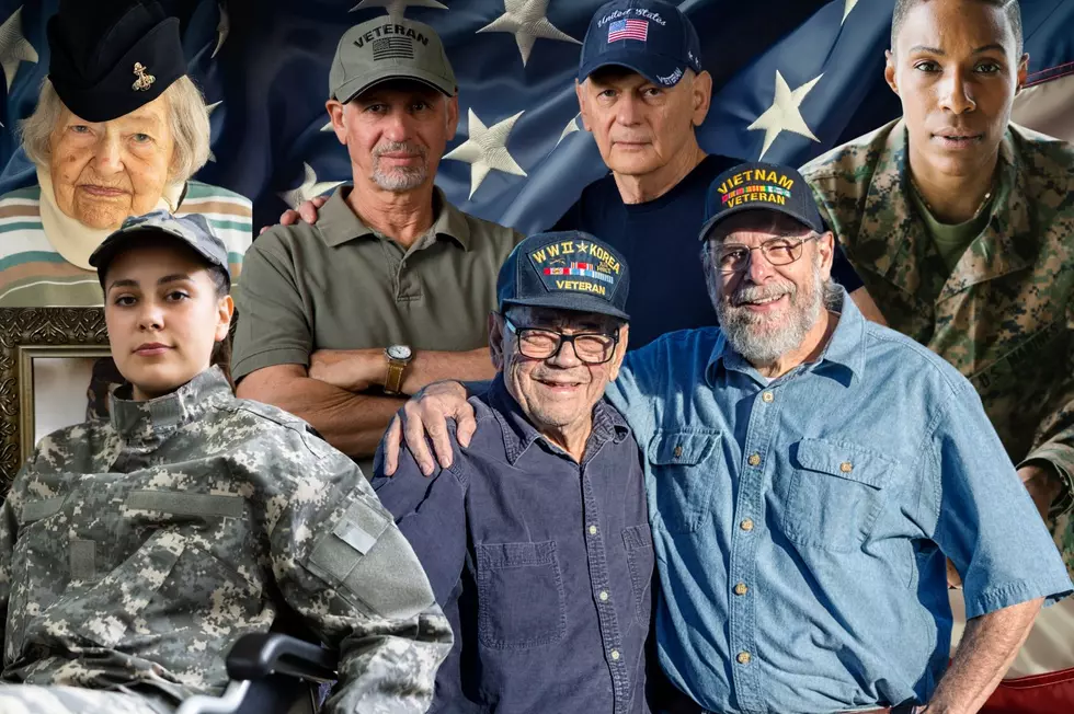 Bringing Veterans’ Stories to Life: Honoring Southern Tier Heroes
