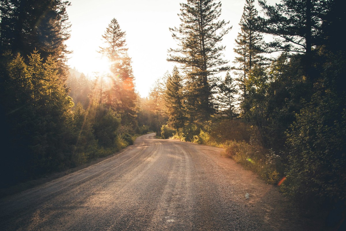 Discover The Peaceful Trails Along New York's Gravel Drives