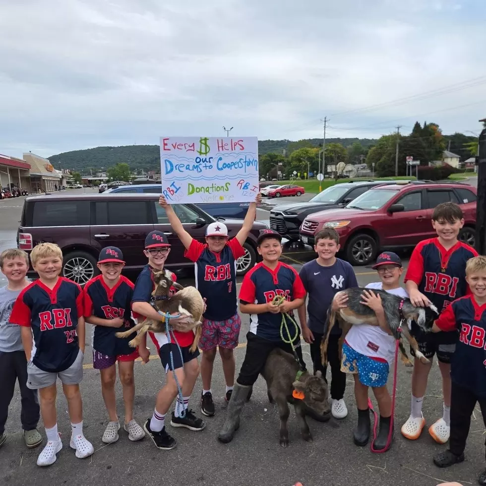 Local Baseball Team Fires Up Fundraiser To Reach Cooperstown Dreams