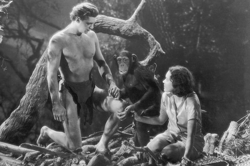 Tarzan Swinging Back To Big Screen But Who’ll Wear The Loincloth?