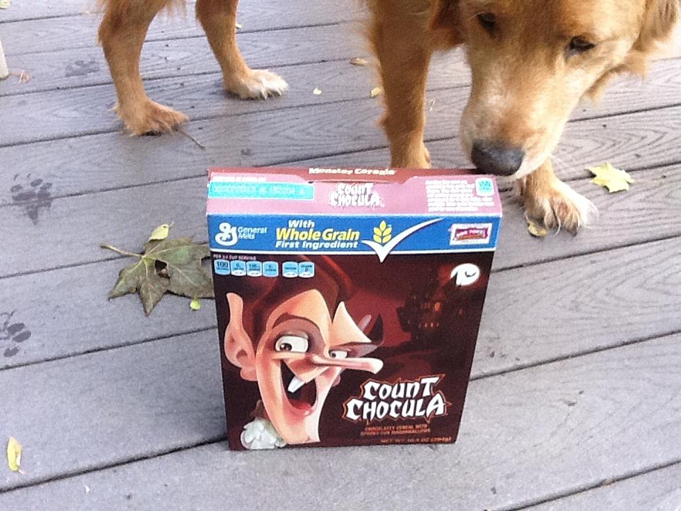 My Count Chocula Tastes Different!