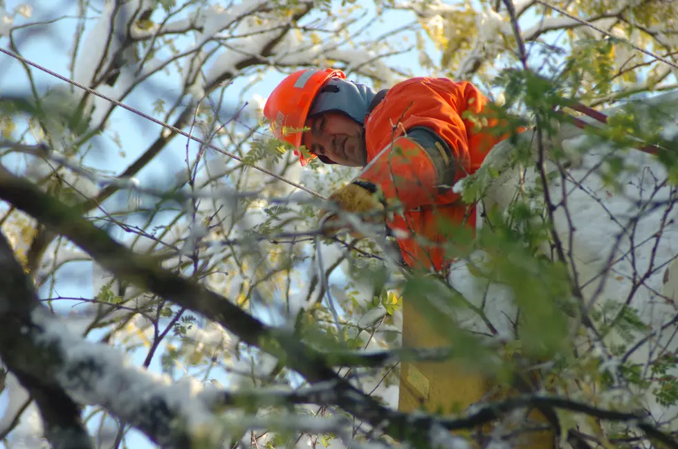 NYSEG Crews Trim Trees Along Power Line Path
