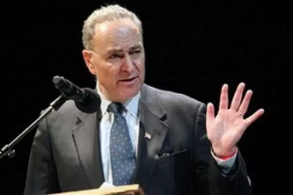 U.S. Senator Charles Schumer Wants Metal Theft a Federal Crime