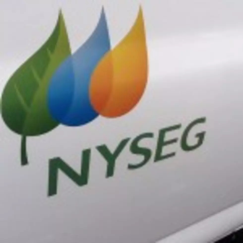 NYSEG&#8217;s Parent Company Has Credit Rating Lowered