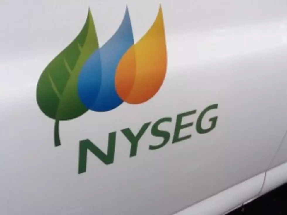 Security Breach at NYSEG Parent Company