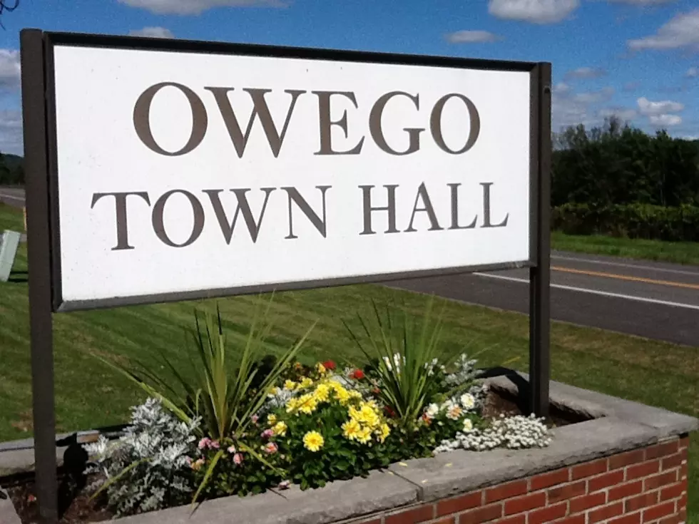 Town of Owego to Collect Bagged Leaves