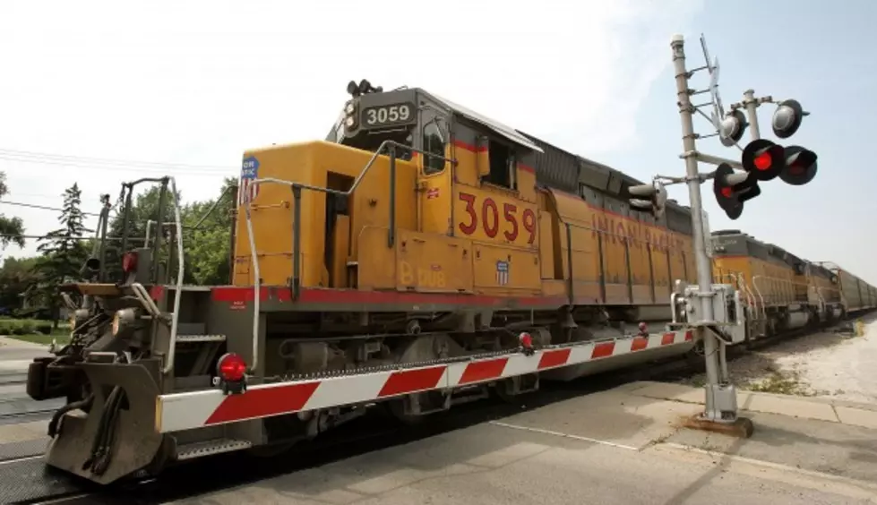 Police: Man Hit, Killed By Train Was Photographing Deer