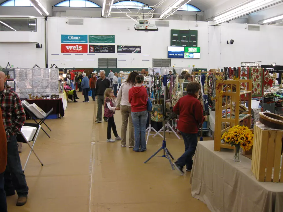 Holiday Traditions Craft Show Helps CHOW