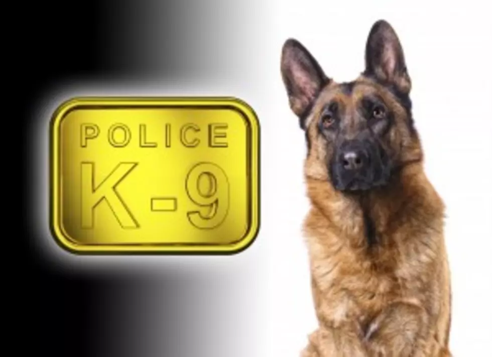 Endicott K-9 Officer Accused of Threatening Snowboarders Suspended