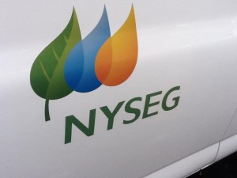 NYSEG Donates to Local COVID-19 Relief