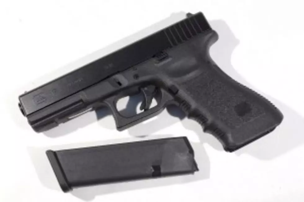 New York Senate OKs Gun Law Change