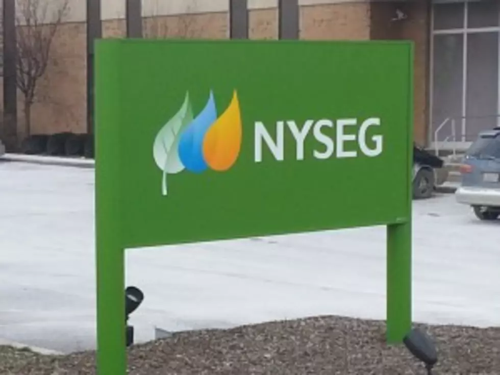 NYSEG Offers Storm Safety Information