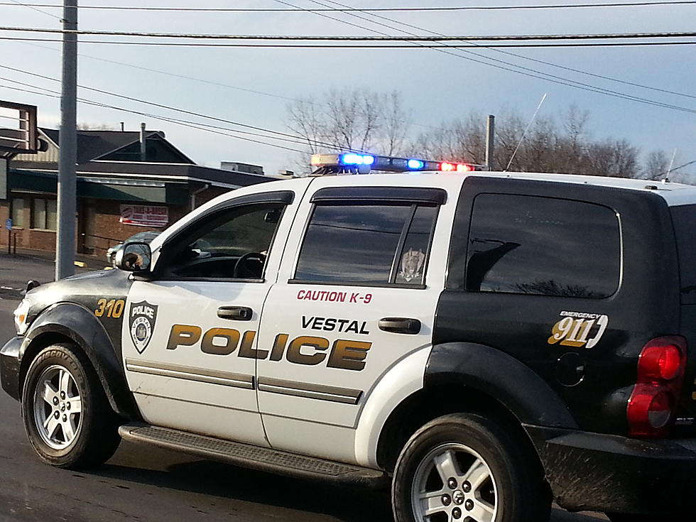 Second Meth Lab Bust in Vestal in a Week