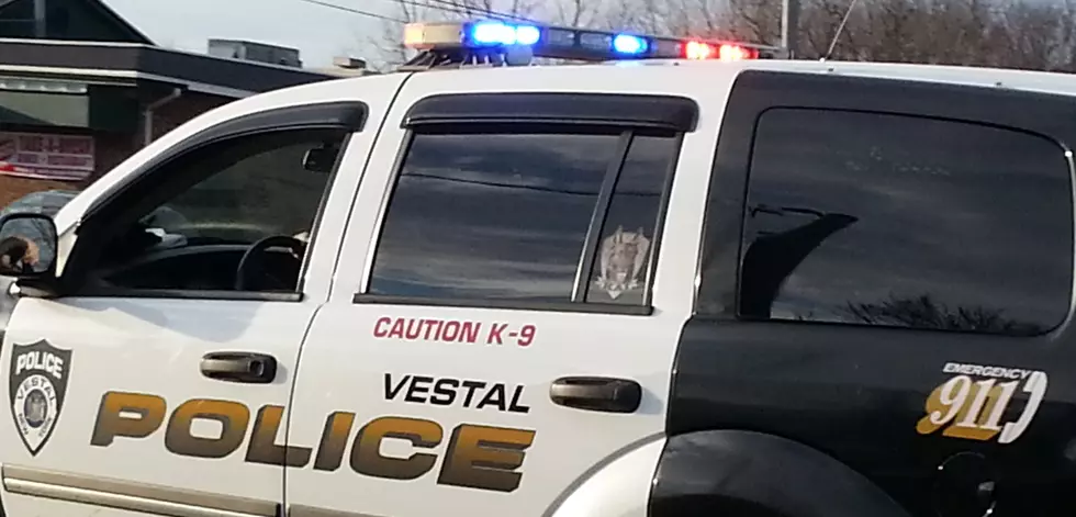 Vestal Youth Police Academy to Be Expanded