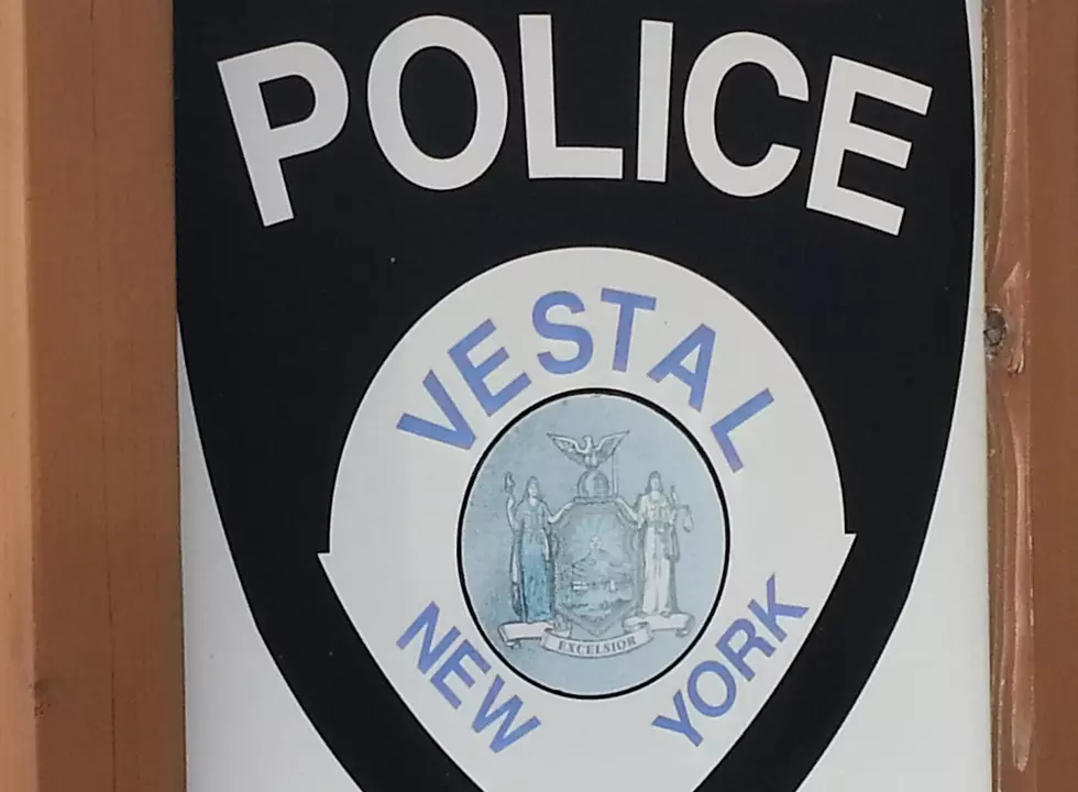 The Search for the Vestal Teahouse Robber Continues