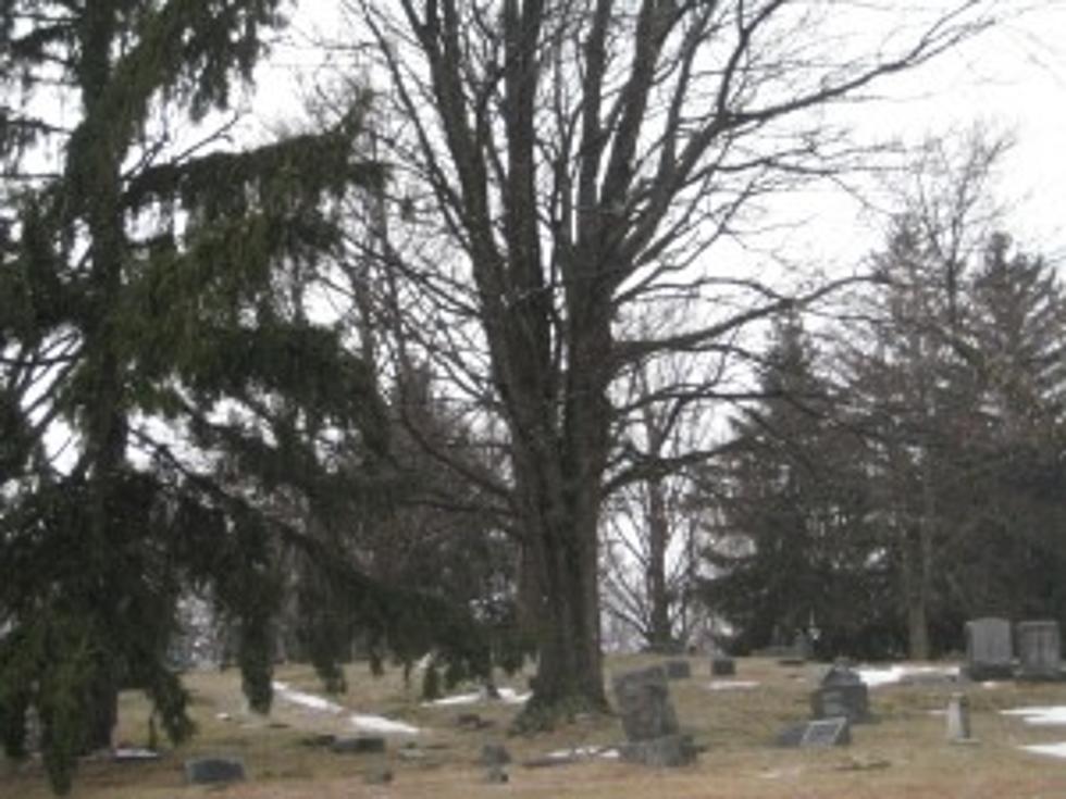 Cortlandville Man is Accused of Causing Cemetery Flooding