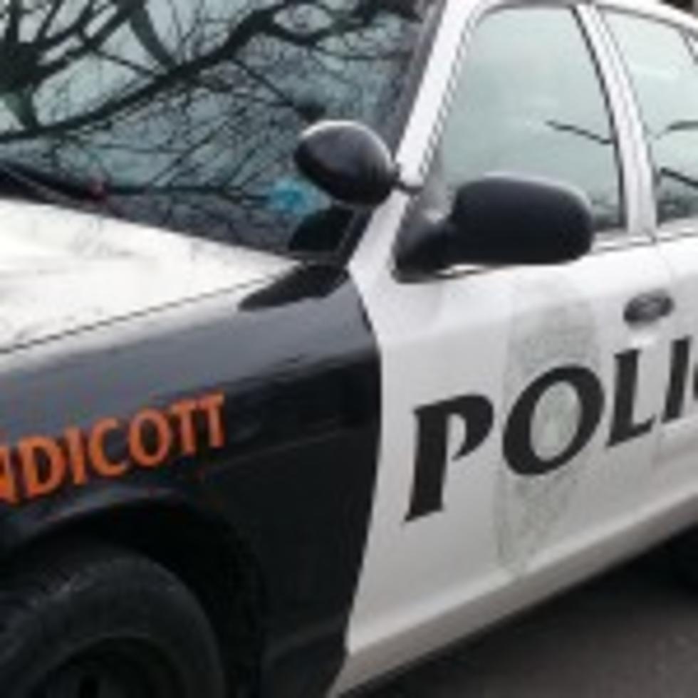 Two Arrested for Endicott Burglaries