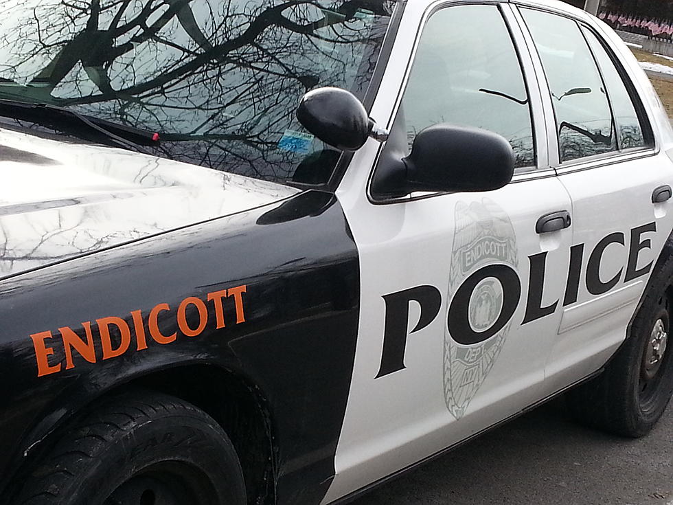 Endicott Traffic Stop Turns up Drugs and Cash
