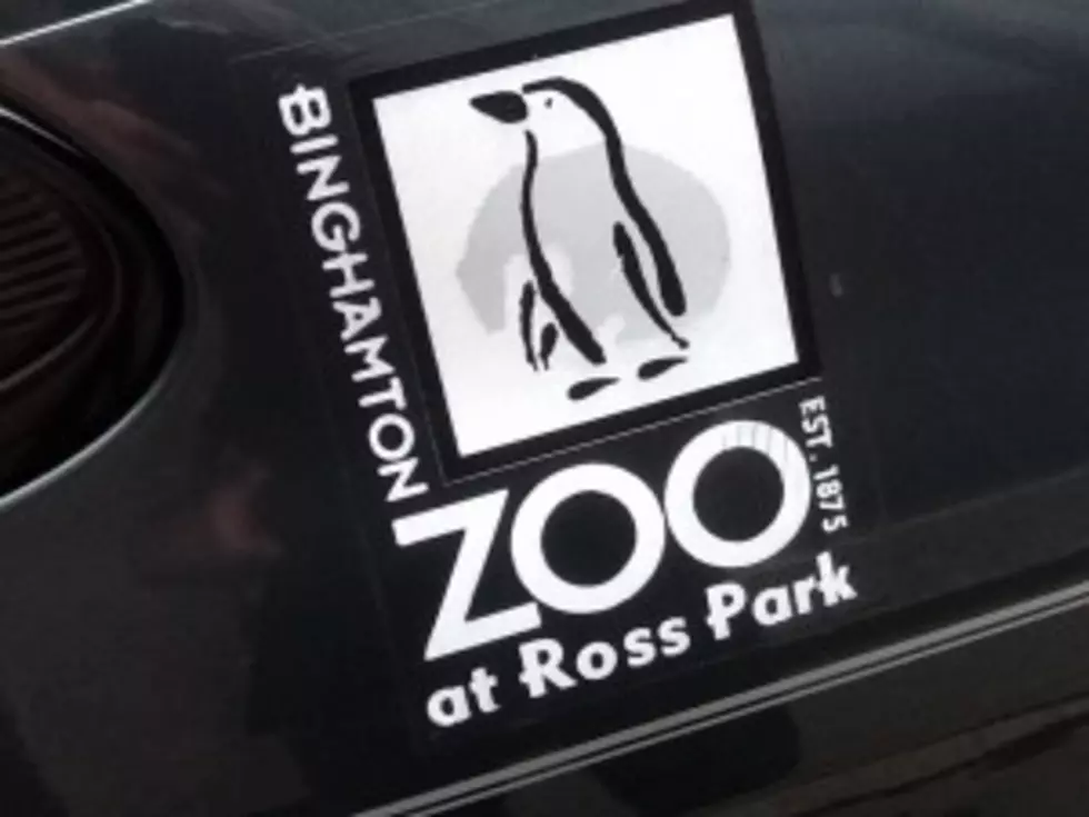 Binghamton Zoo Ready To Open For Season