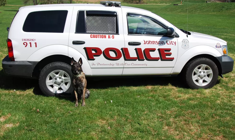 Johnson City Police K9 Gets Protective Vest