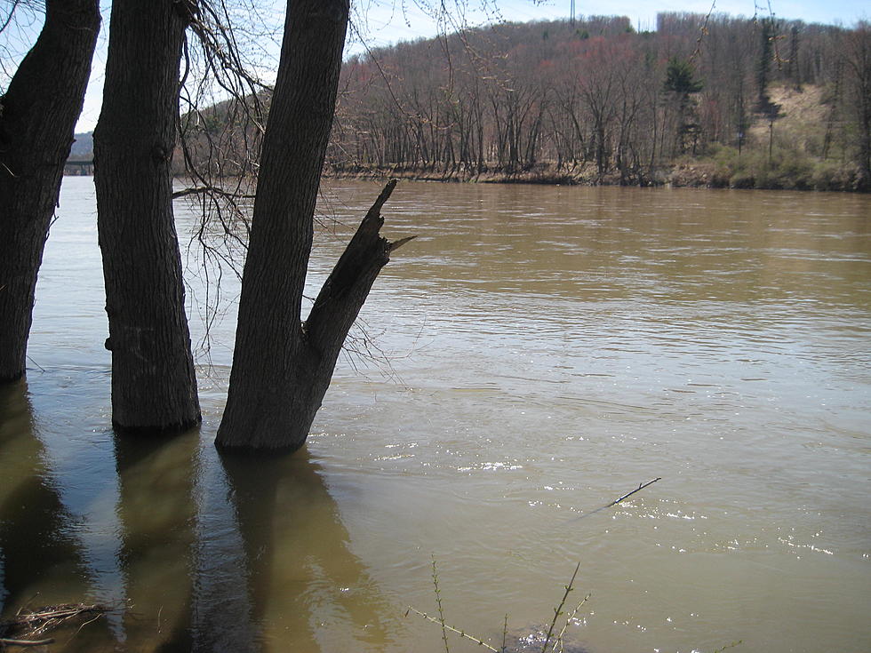 Snow Runoff Could Boost Water Levels in Upper Susquehanna Basin