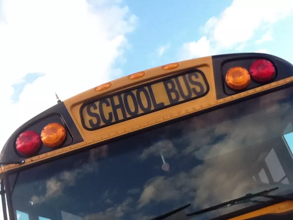 New York Comptroller Audit Finds School Bus Safety Faults