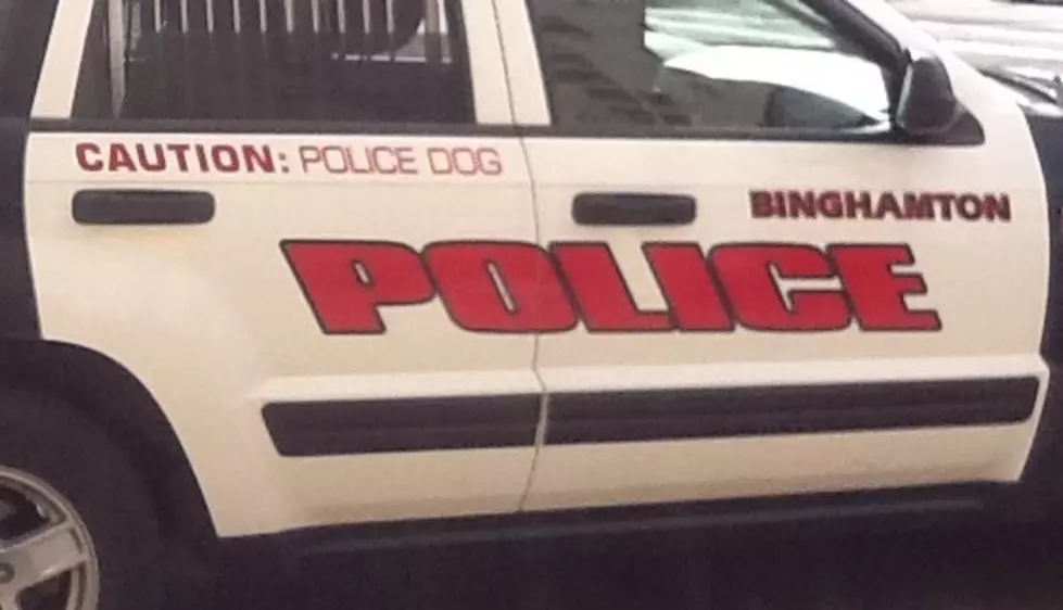 Police Dog Choked By Binghamton Church Burglar