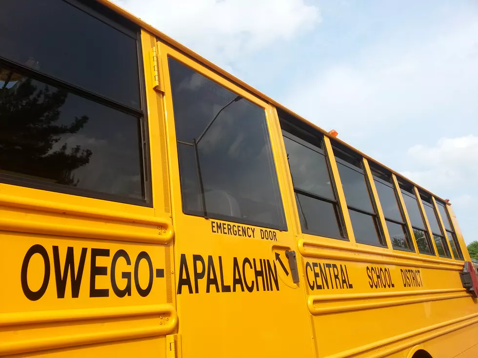 Owego Apalachin School Budget Vote Again