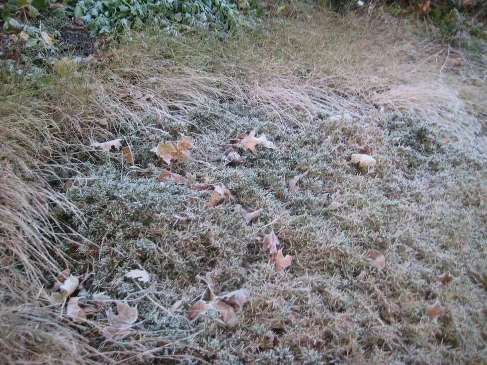 Frosty Start to Growing Season