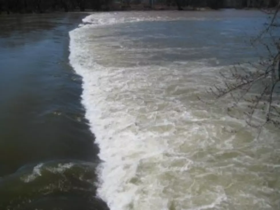 Binghamton River Rescue Saves Woman
