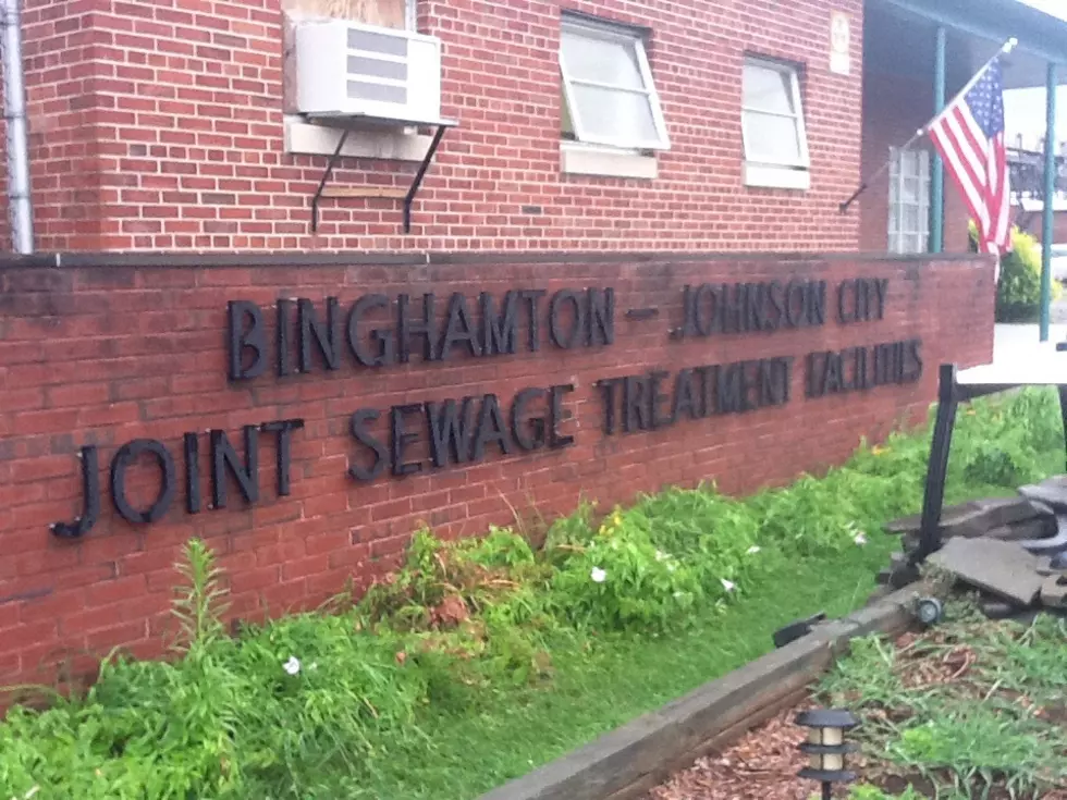 Differing Progress Reports for Binghamton/J.C. Sewage Plant Upgrades