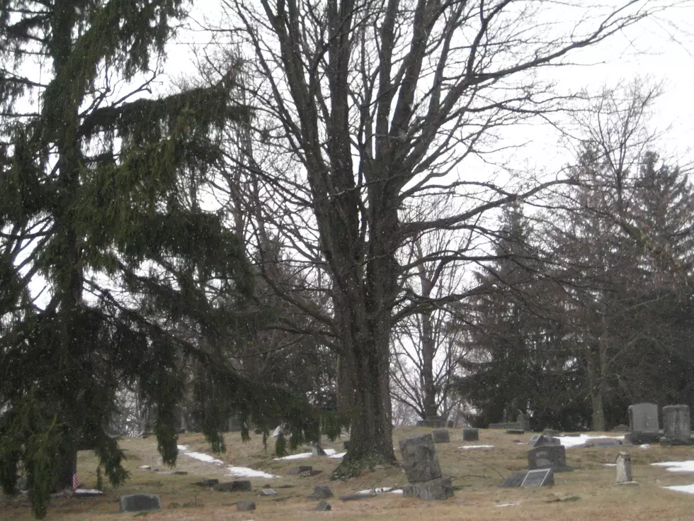 Couple Arrested in Tent Pitched in Endwell Graveyard