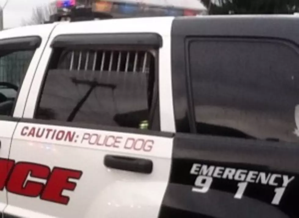 Police Dog Choked By Binghamton Church Burglar