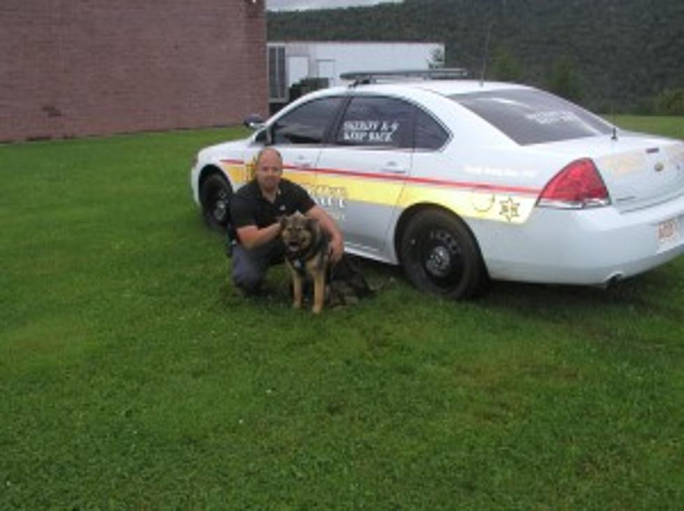 Delaware Sheriff&#8217;s New K9 Has a Good First Day