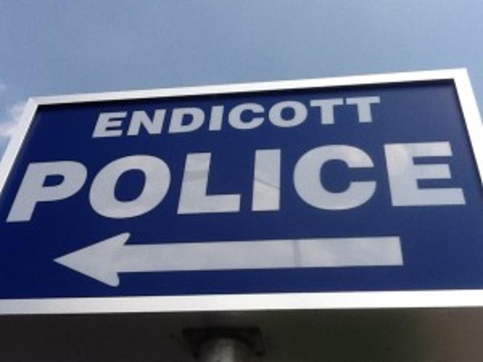 Girls Accused Of Setting Fire At Endicott Park