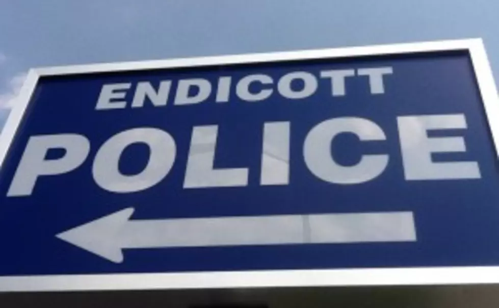 Endicott Woman Arrested on Suspicion of Several Burglaries