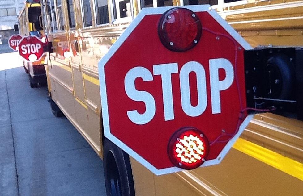 School Bus Strikes Bald Eagle on Interstate 88