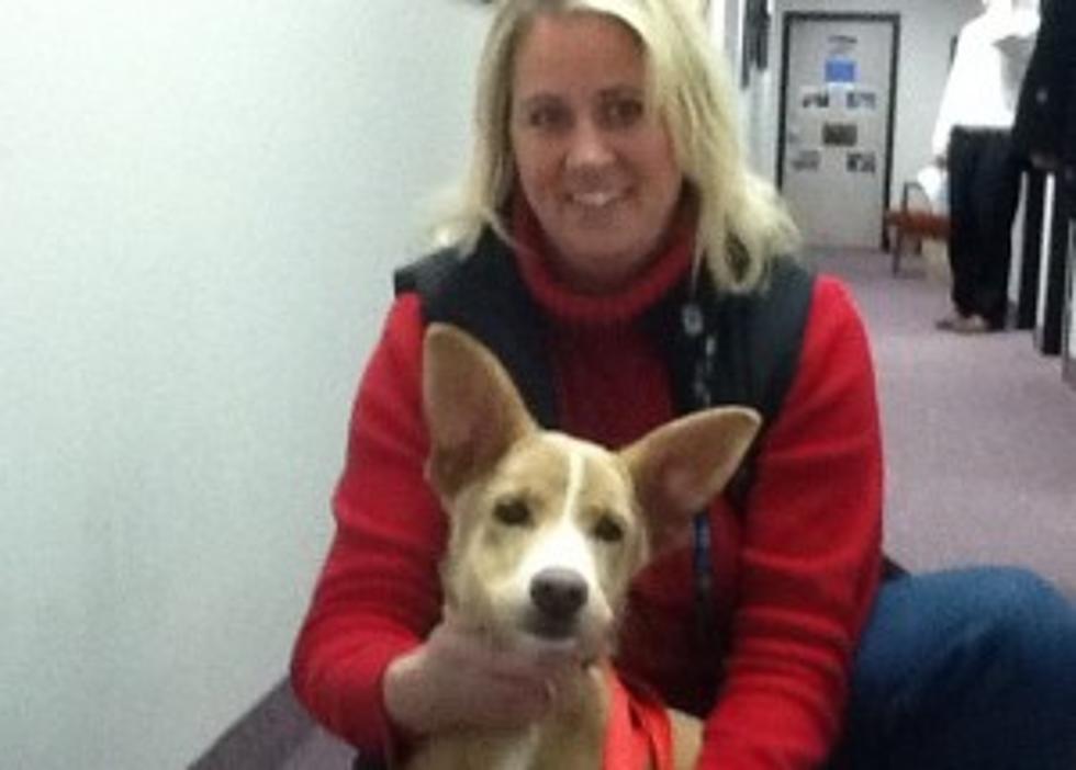 B.C. Humane Society Spokesdog, Alexis Promotes Pet Adoption