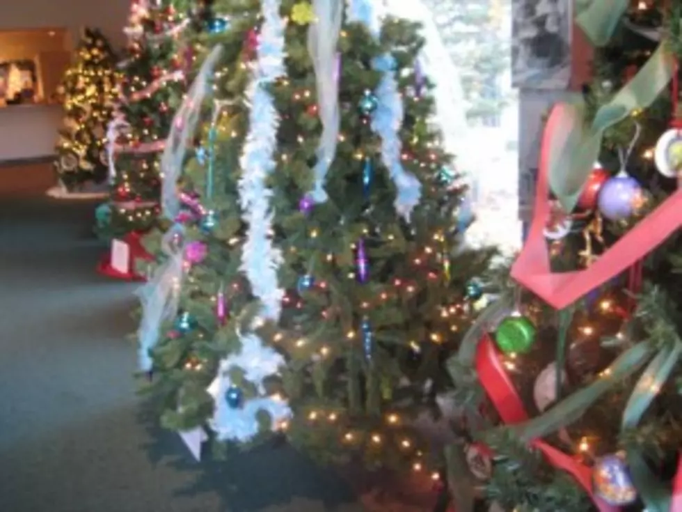 Roberson Museum&#8217;s Home for the Holidays is Open