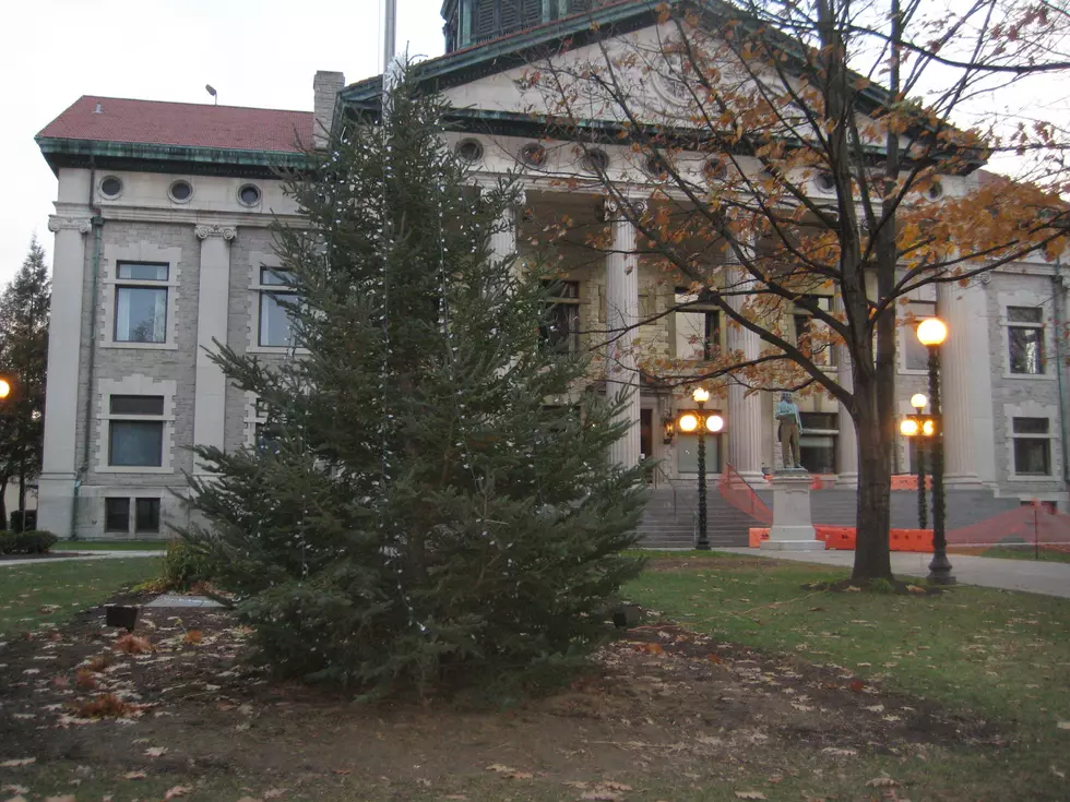 Chopped Broome County Courthouse Tree is Replaced