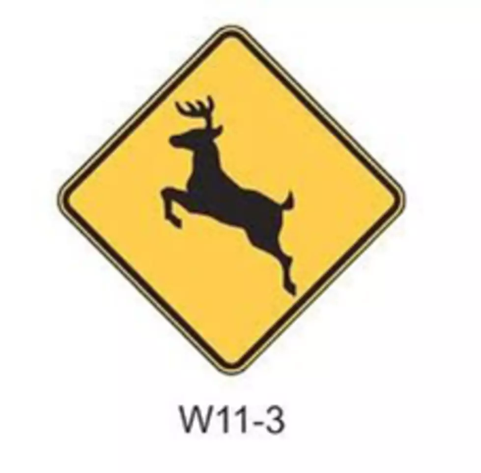 The New York State D.O.T. Warns About Car vs. Deer Crashes