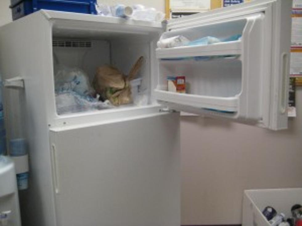 Incentive for Recycling Old Refrigerators is Increased